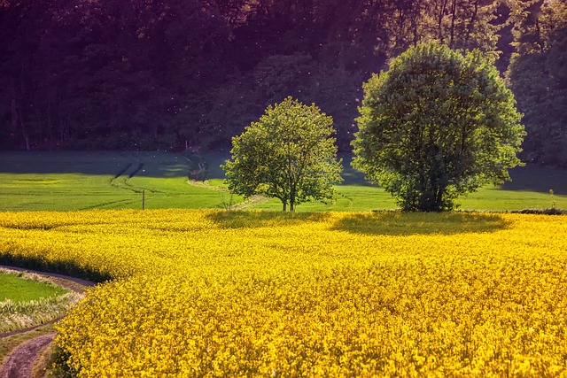 The Role of Crypto in the Future of Agriculture